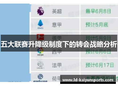 五大联赛升降级制度下的转会战略分析